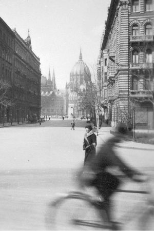 Анна Чайковская - Триумф красной герани. Книга о Будапеште