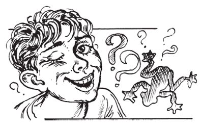 Сью Таунсенд - Признания Адриана Моула