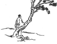 Джон Портер - Дао "Звездных войн"