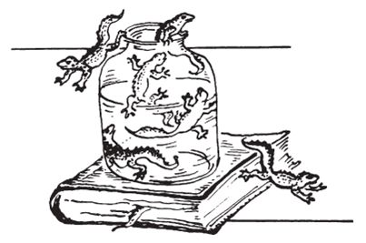 Сью Таунсенд - Признания Адриана Моула