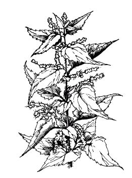 Екатерина Константинова - Лечение болезней и дефектов кожи. И жировик исчез, и...