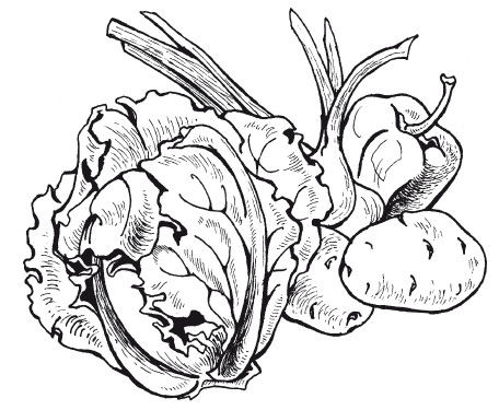 Ольга Сладкова - Летние супы, окрошки, свекольники и другие. Готовим, как...