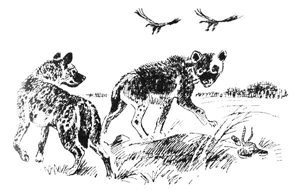 Джордж Майкл - Семья Майклов в Африке