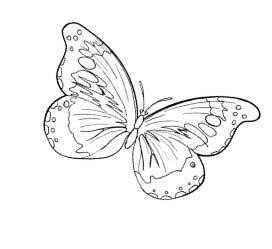 Александра Крючкова - Игра в Иную Реальность. Книга Знаний