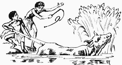 Клара Моисеева - Учись, Сингамиль!