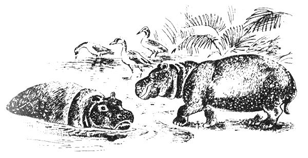 Джордж Майкл - Семья Майклов в Африке