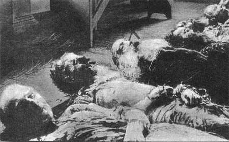 Сборник - Непознанный Мир Веры