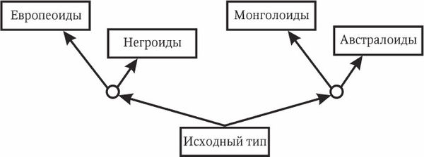 Николай Курчанов - Антропология и концепции биологии