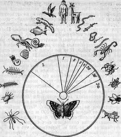 Георгий Войткевич - Возникновение и развитие жизни на Земле