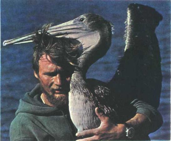 Жак-Ив Кусто, Филипп Диоле - Могучий властелин морей