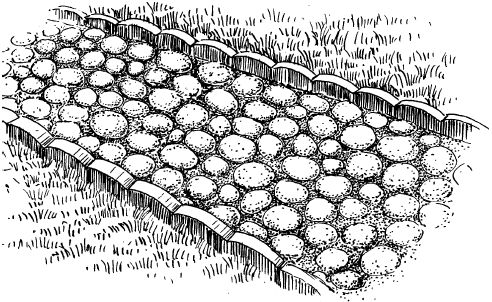 Светлана Филатова - Как распланировать и обустроить дачный участок. 500...