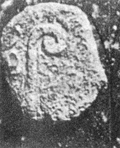 Сборник - Непознанный Мир Веры