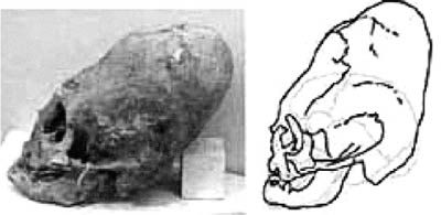 Роман Доля - Книга древних пророчеств. О чем молчат камни