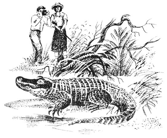 Джордж Майкл - Семья Майклов в Африке