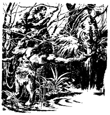 Жозеф Рони-старший - Борьба за огонь. Пещерный лев