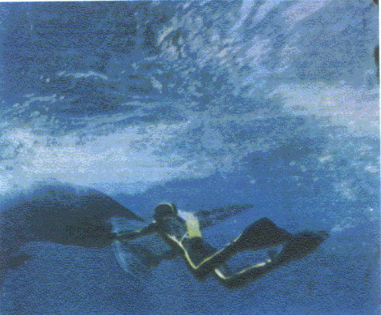 Жак-Ив Кусто, Филипп Диоле - Могучий властелин морей