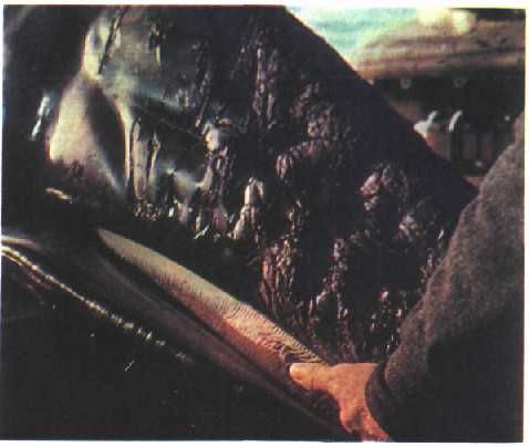 Жак-Ив Кусто, Филипп Диоле - Могучий властелин морей