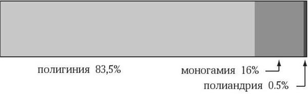 Марина Бутовская - Антропология пола