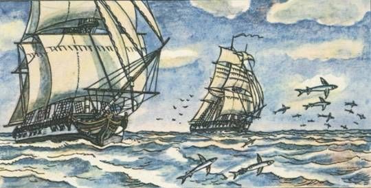 Николай Чуковский - Капитан Крузенштерн