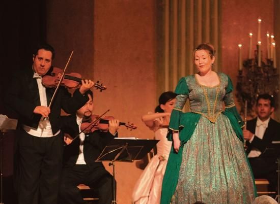 Эвелин Штриглер - Вена. Путеводитель