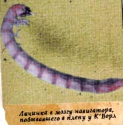 коллектив авторов - WH40K Флафф Библия Ксеносов