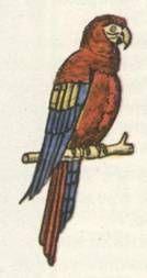 Николай Чуковский - Капитан Крузенштерн