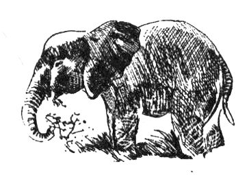 Джордж Майкл - Семья Майклов в Африке