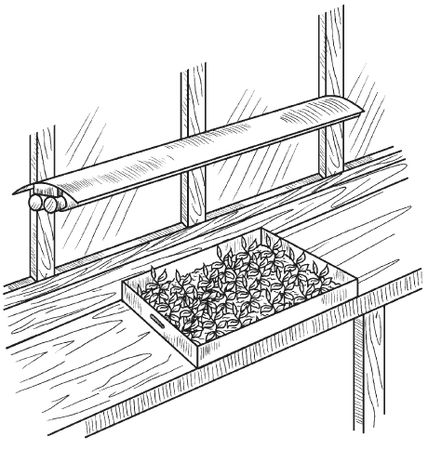 Сергей Кашин - Теплицы и парники