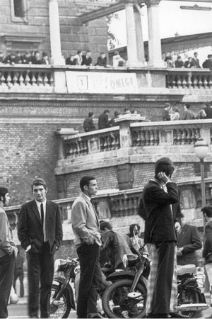 Анна Чайковская - Триумф красной герани. Книга о Будапеште