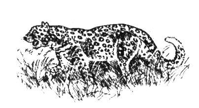 Джордж Майкл - Семья Майклов в Африке