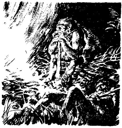 Жозеф Рони-старший - Борьба за огонь. Пещерный лев