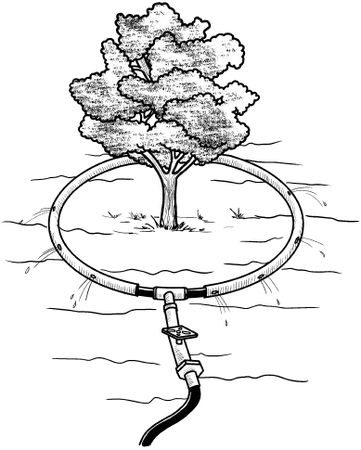 Светлана Филатова - Как распланировать и обустроить дачный участок. 500...