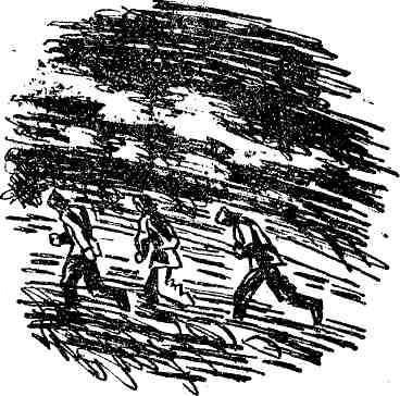 Игорь Бестужев-Лада, Анатолий Безуглов и др. - Отвага