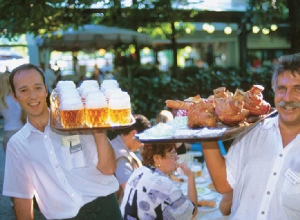 Эвелин Штриглер - Вена. Путеводитель