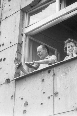 Анна Чайковская - Триумф красной герани. Книга о Будапеште