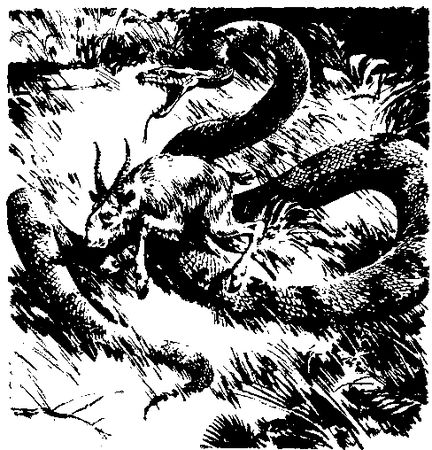 Жозеф Рони-старший - Борьба за огонь. Пещерный лев