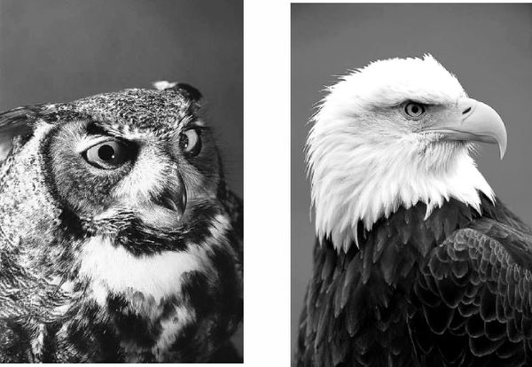 Николай Курчанов - Антропология и концепции биологии