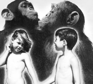 Николай Курчанов - Антропология и концепции биологии