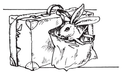 Сью Таунсенд - Признания Адриана Моула