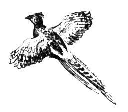 Джордж Майкл - Семья Майклов в Африке