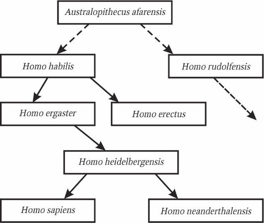 Николай Курчанов - Антропология и концепции биологии