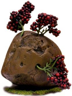 коллектив авторов - WH40K Флафф Библия Ксеносов