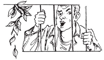 Сью Таунсенд - Признания Адриана Моула