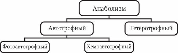Николай Курчанов - Антропология и концепции биологии