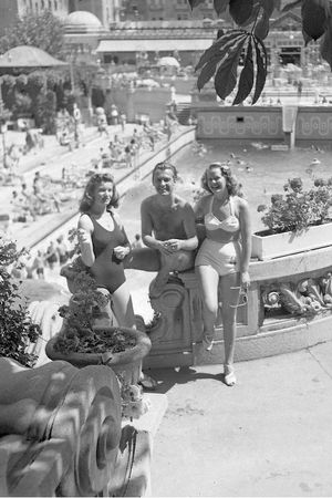 Анна Чайковская - Триумф красной герани. Книга о Будапеште