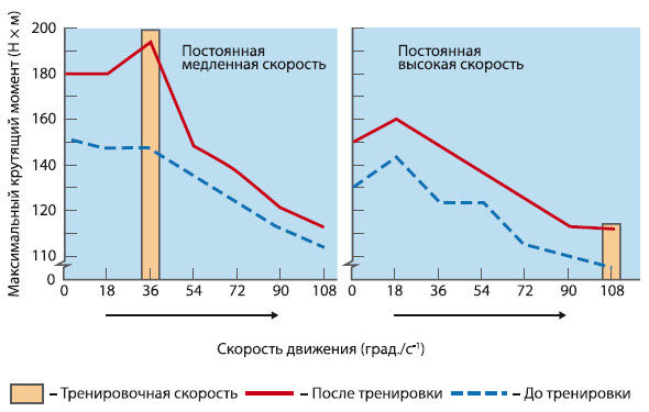 Вячеслав Шляхтов, Руслан Городничев - Физиология силы