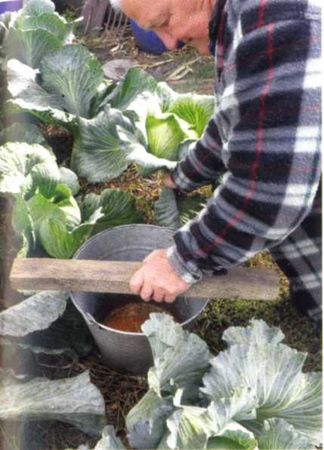 Борис Бублик, Виталий Гридчин - Умный огород круглый год