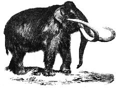 Наталья Гусева - Русский Север - прародина индославов