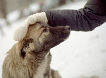 Александр Лысенко - Искусство интеллектуального боя