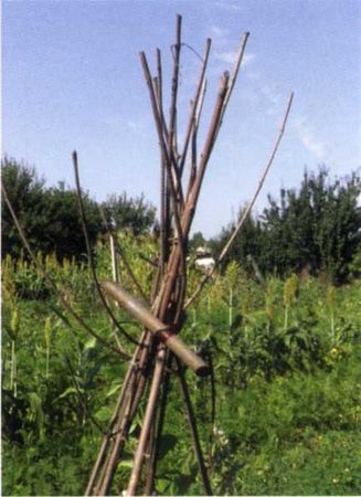 Борис Бублик, Виталий Гридчин - Умный огород круглый год